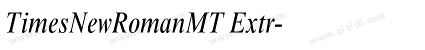 TimesNewRomanMT Extr字体转换